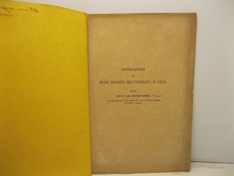 Spigolature nel Muzeo zoologico dell'Università di Pavia. Nota letta all'adunanza del 19 luglio 1877 del R. Istituto Lombardo di Scienze e lettere